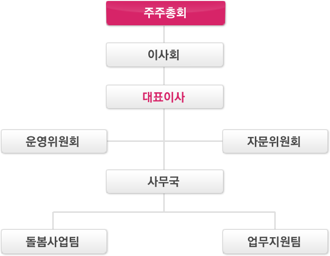 주주총회,이사회,대표이사,운영위원회,자문위원회,사무국,돌봄사업팀,업무지원팀